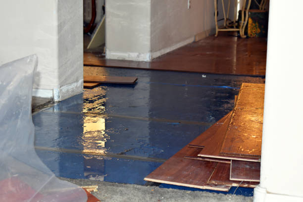 Professional Sewage Cleanup technician working in Lexington, MA