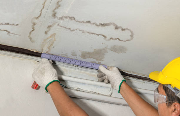 Reliable Sewage Cleanup contractor in Lexington, MA by Water Damage Irwin